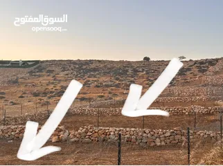  5 قطعتين مجاورتان للبيع في ضاحية النسيم دومه /دورا اول الظاهريه ، تصنيف الف بناء طابو