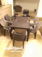  1 طاولة سفره حديقه