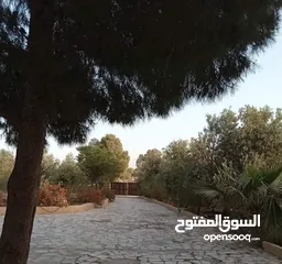  29 مزرعه مع مسبح في عمان ابو السوس للبيع