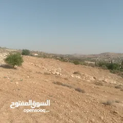  3 قطعة ارض شرق جرش مرويه من بئر ارتوازي مطله ومرتفعه بسعر مغري متوفر أكثر من 50 قطعه في نفس المنطقه