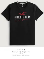  10 Original Hollister t-shirts form Germany 100%