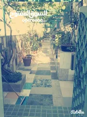  3 شقق مستقله للإيجار مع حديقه خارجيه