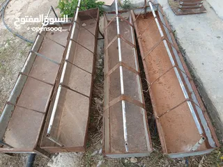  1 معالف للغنم