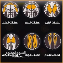  6 جهاز تمارين المعده الاكتاف و الصدر والورك و الارداف جهاز تمارين العضلات