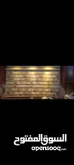  1 برداية زيبرا