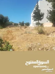  2 ارض للبيع في شفا بدران حوض المقرن