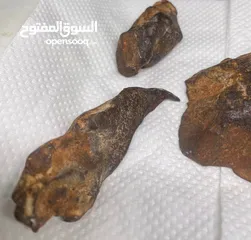  11 Jabal Kamel Hadidi meteorites, Tripoli, Libya, weight: one kilogram and 200 gram
