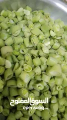  16 ملوخيه وورق عنب وفول وفاصوليا وسبانخ وخضار فروزن
