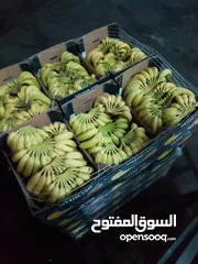  12 مشروع تجاري مربح بحاجه لتمويل