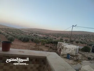  21 مزرعة مع بيت للبيع