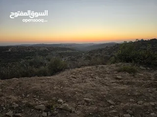  2 ارض بمساحه 3 دنم بكوبر اطلاله غربيه للأبد اوول كوبر  بالقرب من المسجد الكبير كوشان