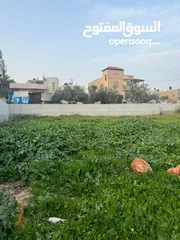  1 عمر دار خليل