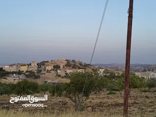  8 ارض للبيع مفروزه 3 نمر بالقرب من مسجد المومني