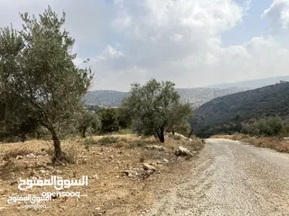  6 (1)ارض للبيع في بدر الجديدة السويسة مساحة الأرض 4500 م