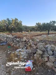  2 الصبيحي ميسرا ارض 4500م حوض تل حجاج وخشفه عاليه ومطله منطقة مزارع بسعر جيد