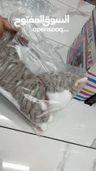  4 قطط مميزة  وجميلة بعدة ألوان  يمكن تحريكها بجهاز تحكم عن بعد  أو بطاريات  متوفرة الآن