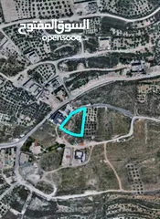  1 ارض 1700م2. بالعامريه. كوشان طابو  بسعر مغري مطله وكاشفه