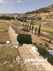  3 مزرعه للبيع في السلط مساحة الأرض 4218م مساحة البناء 450م