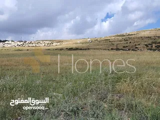  3 ارض للبيع بمنطقة مرج الحمام تصلح لاقامة مشاريع فلل بمساحة ارض 63,500م