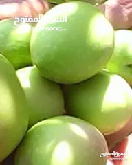  8 مزرعه زيتون 7 فدان بجمعيه الشرطه