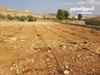  4 قطعة أرض مميزة زراعي او استثماري تصلح شاليه او مزرعة للبيع 10 دونم