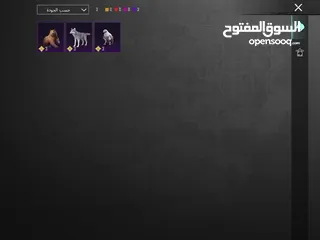  13 حساب ببجي عالميه للبيع