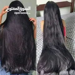  4 زيت الساسو الهندي لنمو الشعر و تعبئة الفراغات و معالجة الثعلبة و زيادة كثافة الشعر
