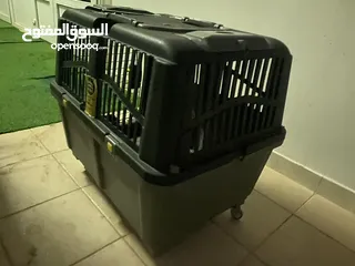  8 Dog cage for sale  قفص كلب للبيع