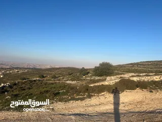  10 ارض الكمشة - استثمارية عالية و مطلة ( راس جبل)  قريب شارع الاردن 4 دونم إطلالة بانورامية مطلة