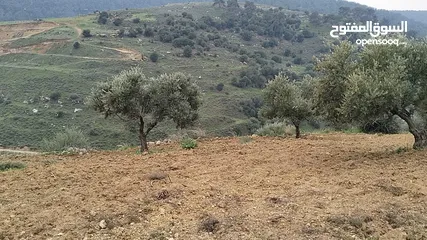 8 أرض مميزة جداً لعمل شاليه استثماري أو مزرعة خاصة أو مزرعة تجارية يوجد بها قناة ماء من المالك مباشرة