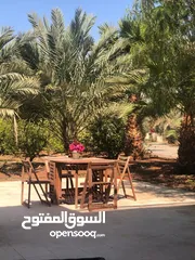  10 مزرعة في الشونة الجنوبية / غور نمرين - ref: 12165