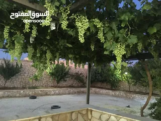  2 أرض للبيع في البيضاء