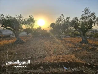  7 فرصة استثمارية لا تعوض . ارض مميزة للبيع في بيت قاد