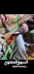  20 جهاز. ايفون15 pro max جهاز وكاله بحالة الجديد الجهااز  بطاريتو90 مساحه256 نموذجM شرق ارسط الاه ببارك