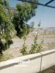  2 منزل مستقل جرش اسكان عجرمه  3غرف نوم 2حمام  صاله مع مطبخ امريكي  بلكونه  حديقه مساحه الارض 305