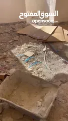  14 شقق سكنيه للبيع كفر عقب