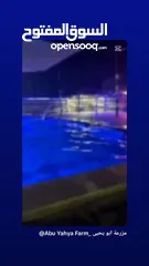  11 مزرعه للإيجار