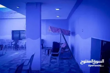  26 مزرعة وشاليه
