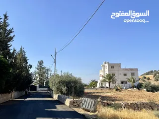  2 ارض للبيع السلط بسعر مغري جدا