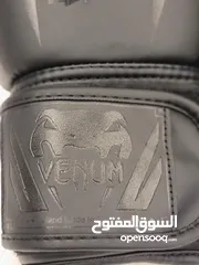  6 قلفز ملاكمة فينيوم الأصلي