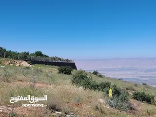  21 2300 م السلط المغاريب قطعة ملوكية تصلح ل فيلا او مزرعة اطلالة ع الغرب و جبال فلسطين