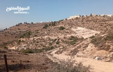  2 أرض للبيع في الخليل / دورا