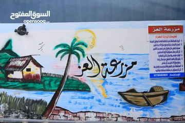  11 مزرعه العز طريق الزرقاء جرش