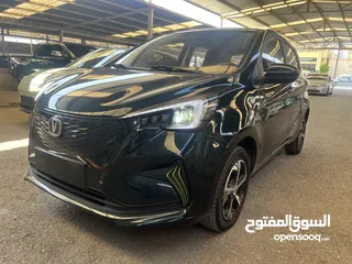  1 اي ستار زيتي جمرك اليوم