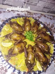  28 طعام جاهز  بيتي