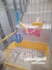  1 مخاليف كنار عدد 10