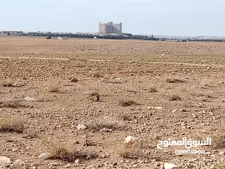  5 قطعة ارض للبيع مساحتها 5دونمات مفروزه قوشان مستقل خلف مستشفى الملك عبدالله وجامعة العلوم والتكنولوجا