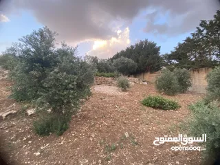  8 للبيع: أرض بإطلالة خلابة وموقع هادئ في دابوق من المالك مباشرة فيها منسوب