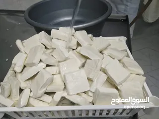  3 يتوفر اجبان غنم