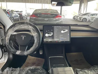  14 Tesla Model 3 Long Range Dual Motors 2021